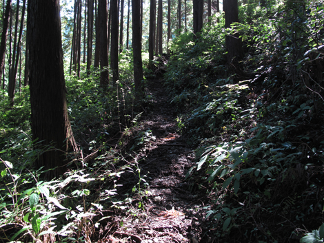 20171026hike (30)